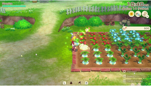 Story Of Seasons: Grand Bazaar Standard Edtion for Nintendo Switch 2