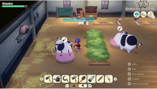 Story Of Seasons: Grand Bazaar Standard Edtion for Nintendo Switch 2