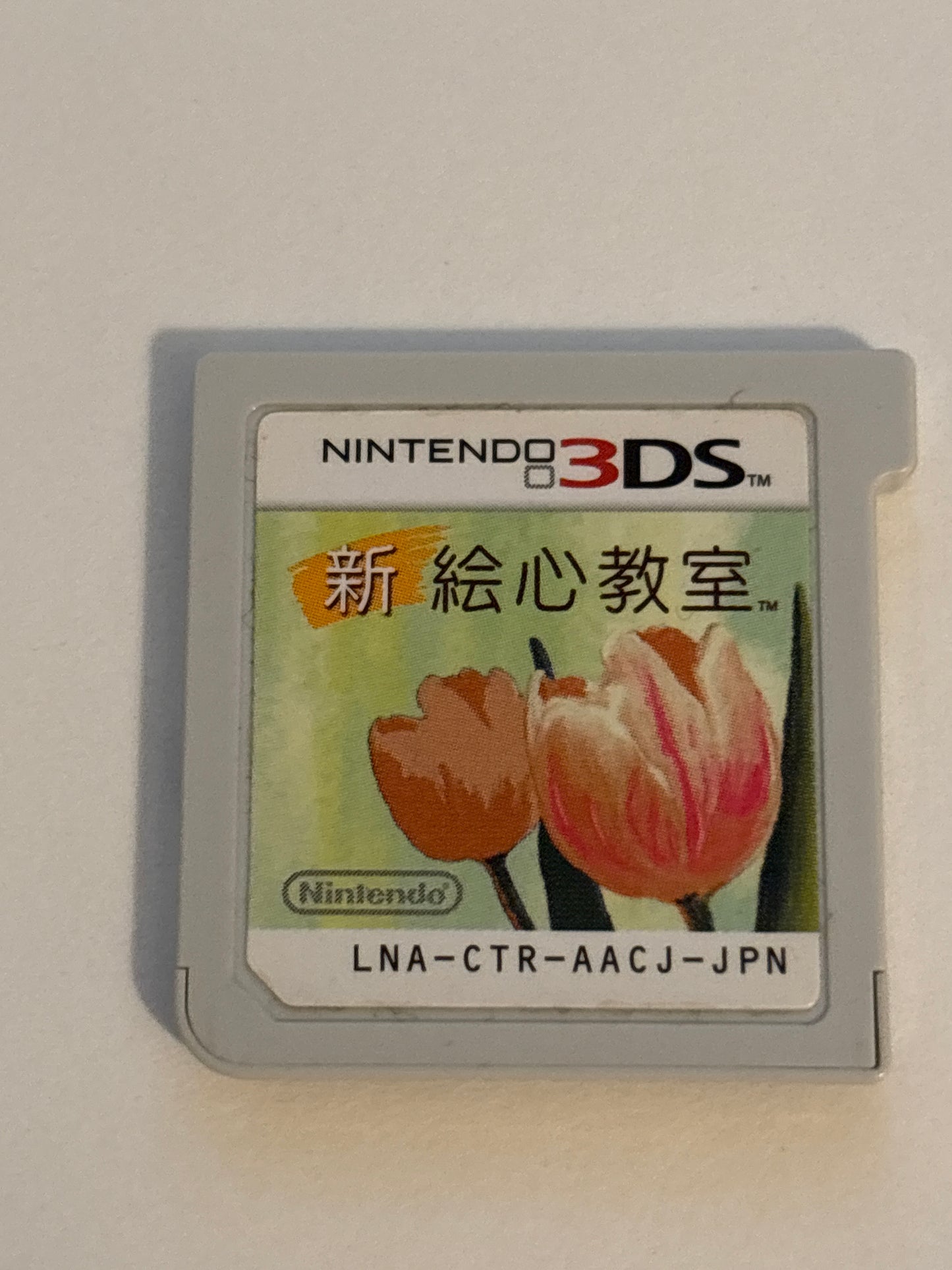 Shin Eshin Kyoushitsu (New Art Academy) 3DS - Import